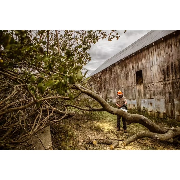 Limited Basic Line STIHL MS 362 Professional Saws Value