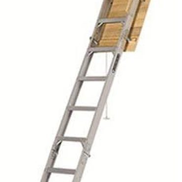 Revolutionary Standard Goods 25-1/2 by 54-Inch Elite Type IAA AA2510 Aluminum Ladder Silver Fine