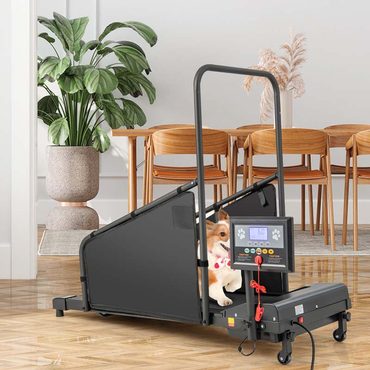 Select Simple Goods 200 Lbs Dog Treadmill Pet Running Machine Indoor Pet Exercise Equipment With Remote Amp 14039039 Lcd Screen Enhanced