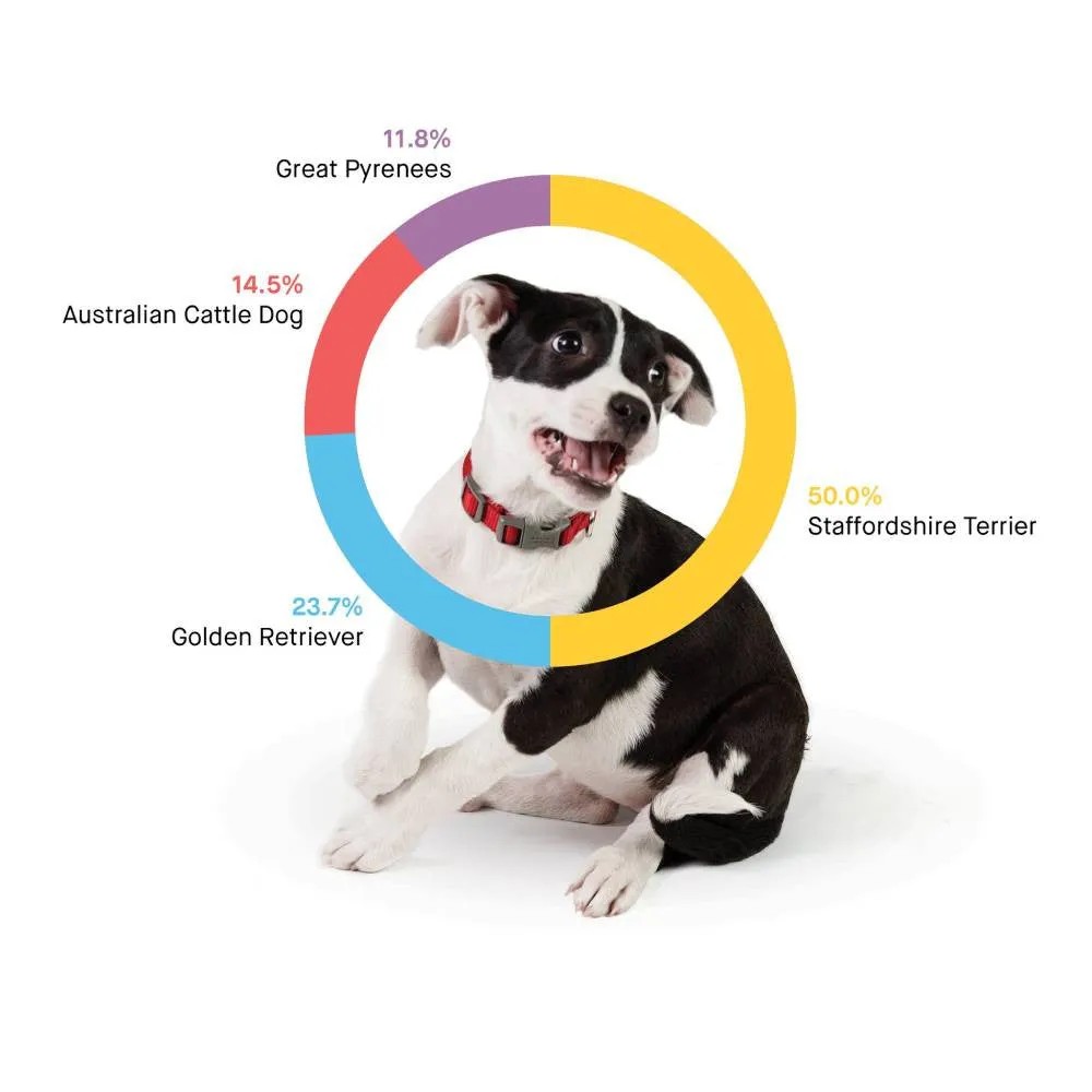 Essential Basic Line Embark Dog DNA Test, Breed Identification Kit Functional