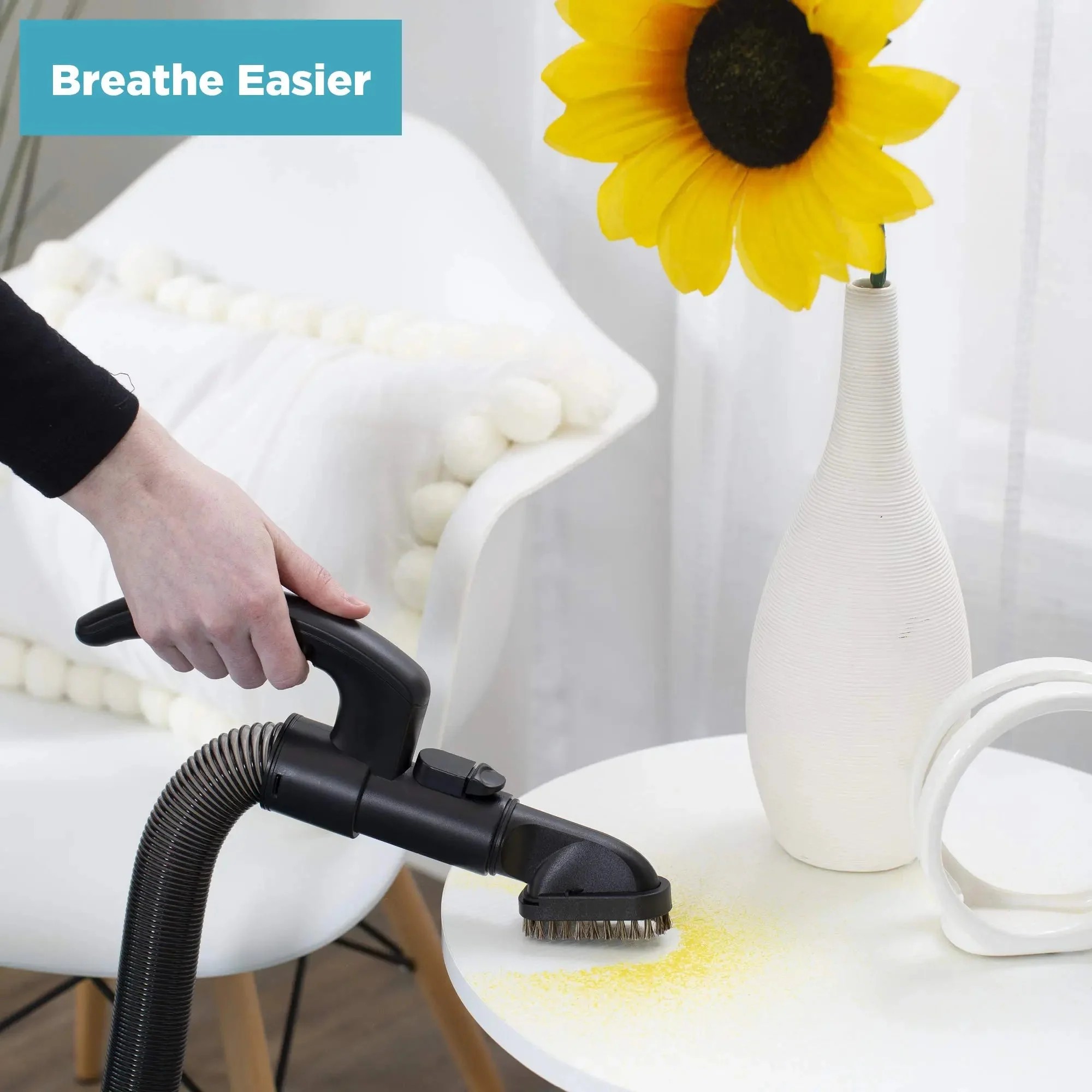 In Season Fresh Find Simplicity Vacuums Allergy Bagged Upright Vacuum Cleaner HEPA Pet S20EZM Distinctive
