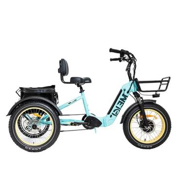 Genuine Simple Goods 20 48V/14AH 750W Foldable Fat Tire Electric Trike, 330LBS Practical