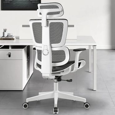 Advanced Everyday Co Gaming chair ergonomic office chair Modern
