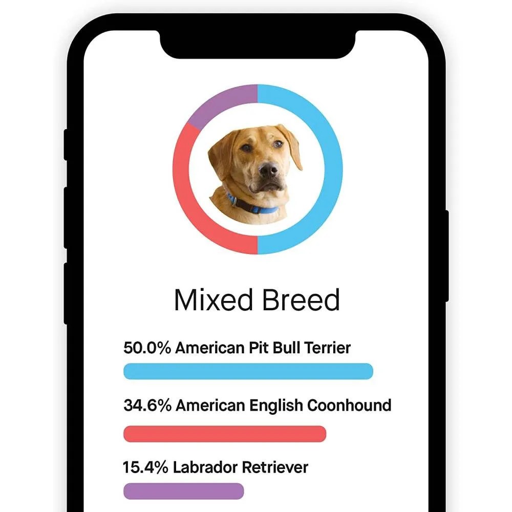 Essential Basic Line Embark Dog DNA Test, Breed Identification Kit Functional