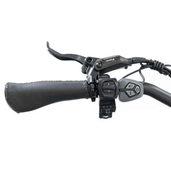 Genuine Open Market SILVERADO 20 48V/14AH 750W Foldable Fat Tire Electric Trike, 330LBS (96817362) Improved