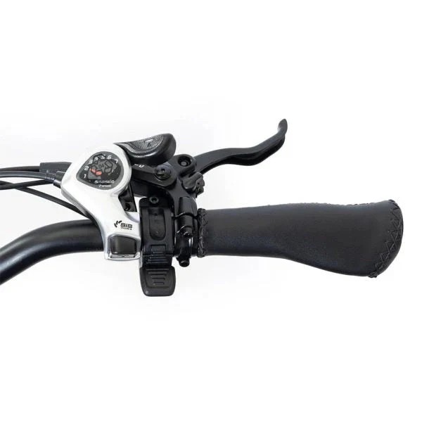 Genuine Open Market SILVERADO 20 48V/14AH 750W Foldable Fat Tire Electric Trike, 330LBS (96817362) Improved