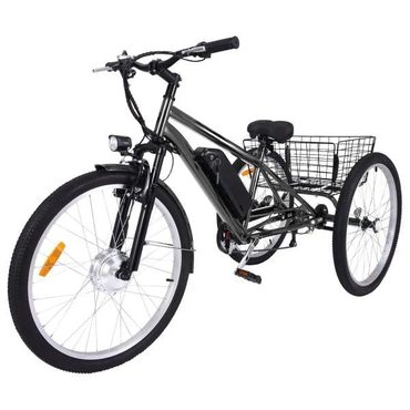 Revolutionary Basic Line 26 Inch Adult 3 Wheel Electric Tricycle 350W Dark Gray Fine