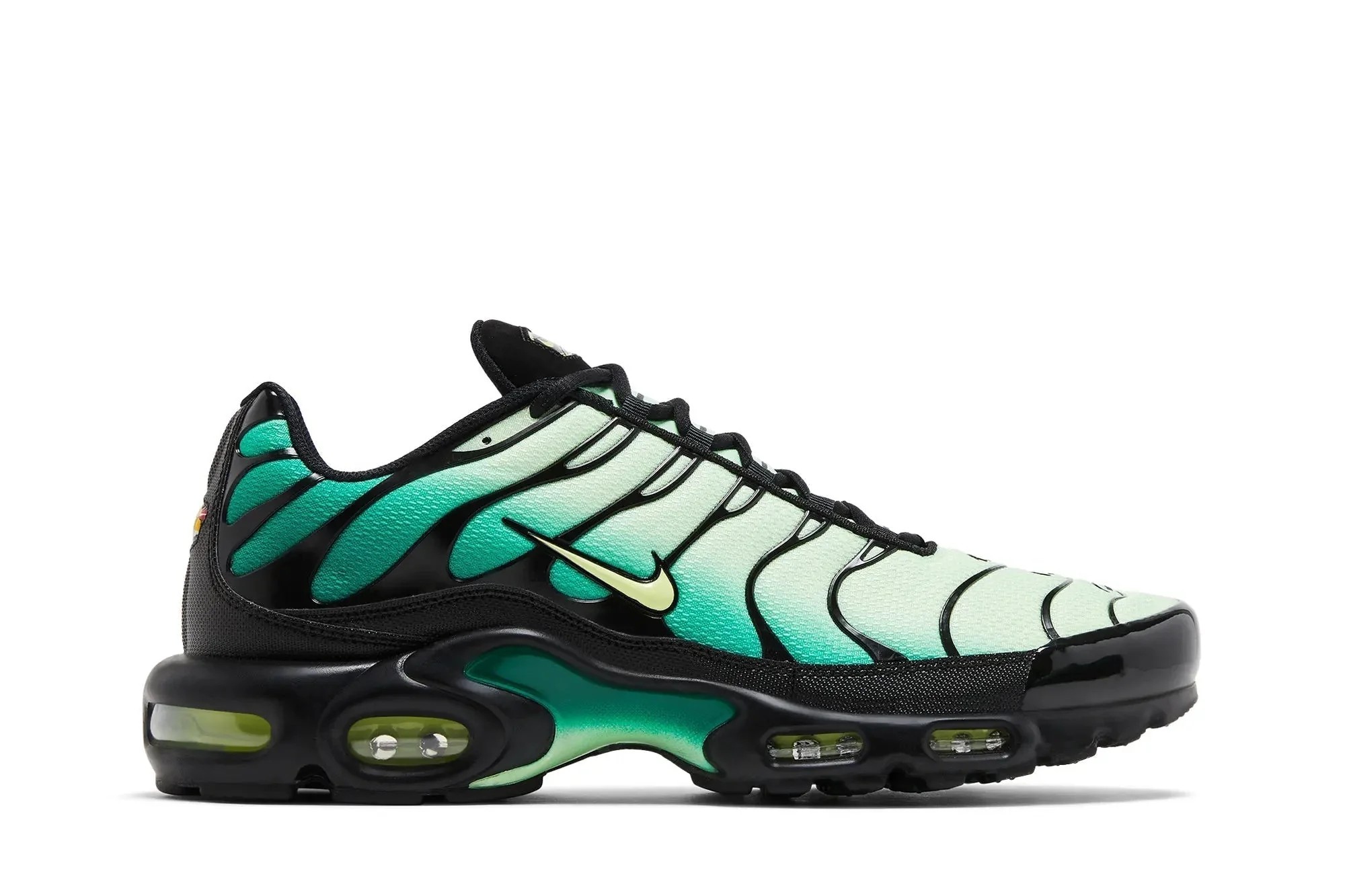 Advanced Simple Goods Air Max Plus 'Vapor Green Gradient' Distinctive