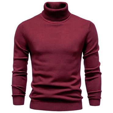 In Stock Fresh Find Men's Turtleneck Pullover Sweater Universal