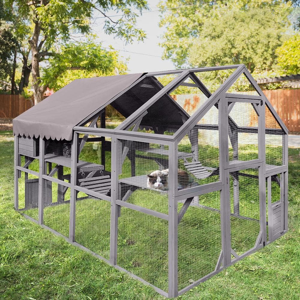 Essential Basic Line aivituvin Outdoor Cat Run : Large Cat Enclosure Enhanced
