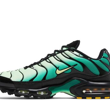 Advanced Simple Goods Air Max Plus 'Vapor Green Gradient' Distinctive