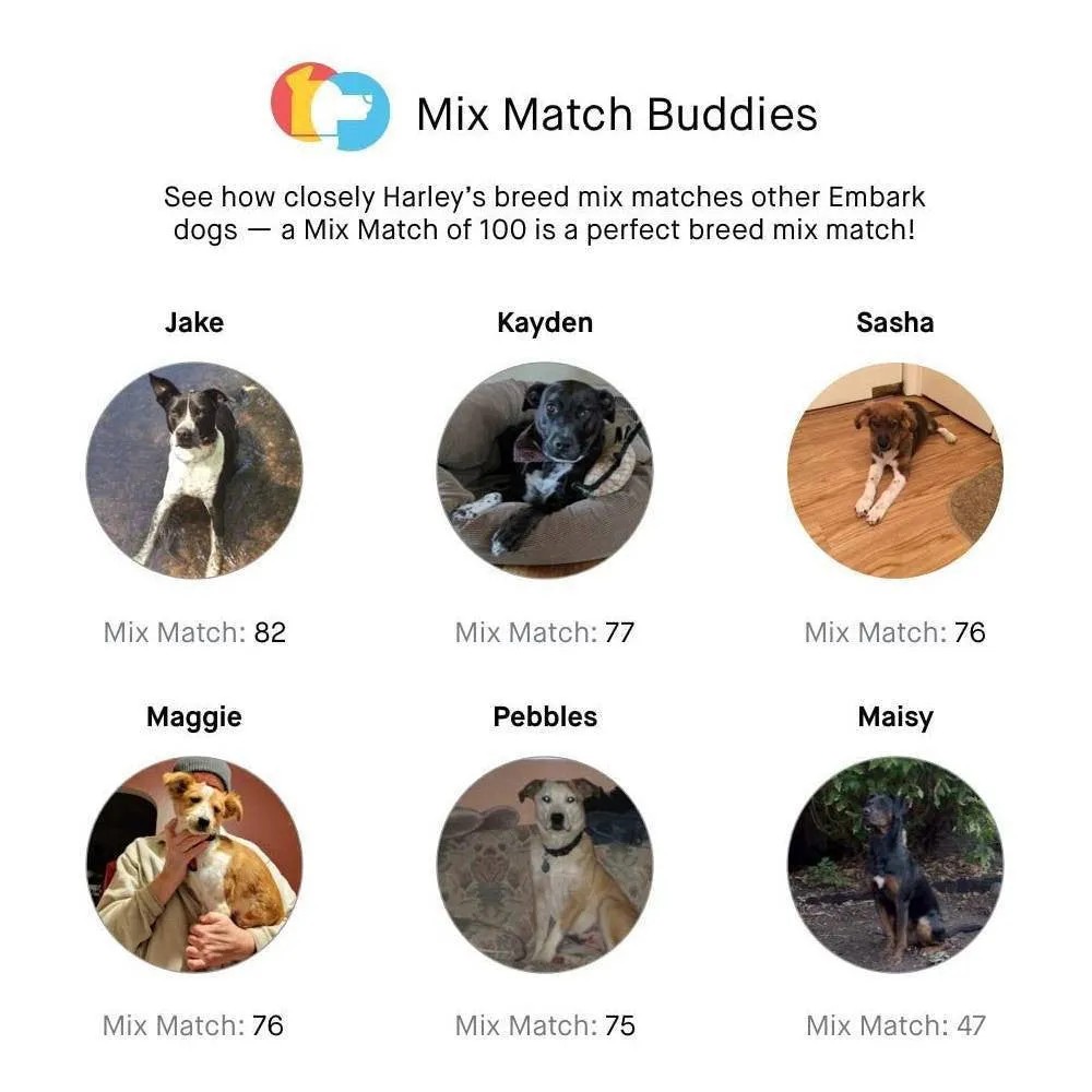 Essential Basic Line Embark Dog DNA Test, Breed Identification Kit Functional