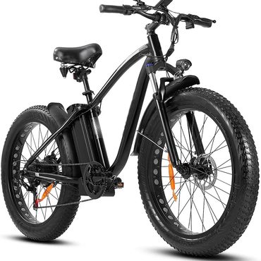 Annual Pure Value Outdoor electric bike with 48V/15Ah lithium battery Everyday