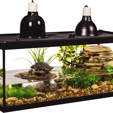 Popular Pure Value Tetra Aquatic Turtle Deluxe Kit 20 Gallons, aquarium With Filter And Heating Lamps, 30 IN Distinctive