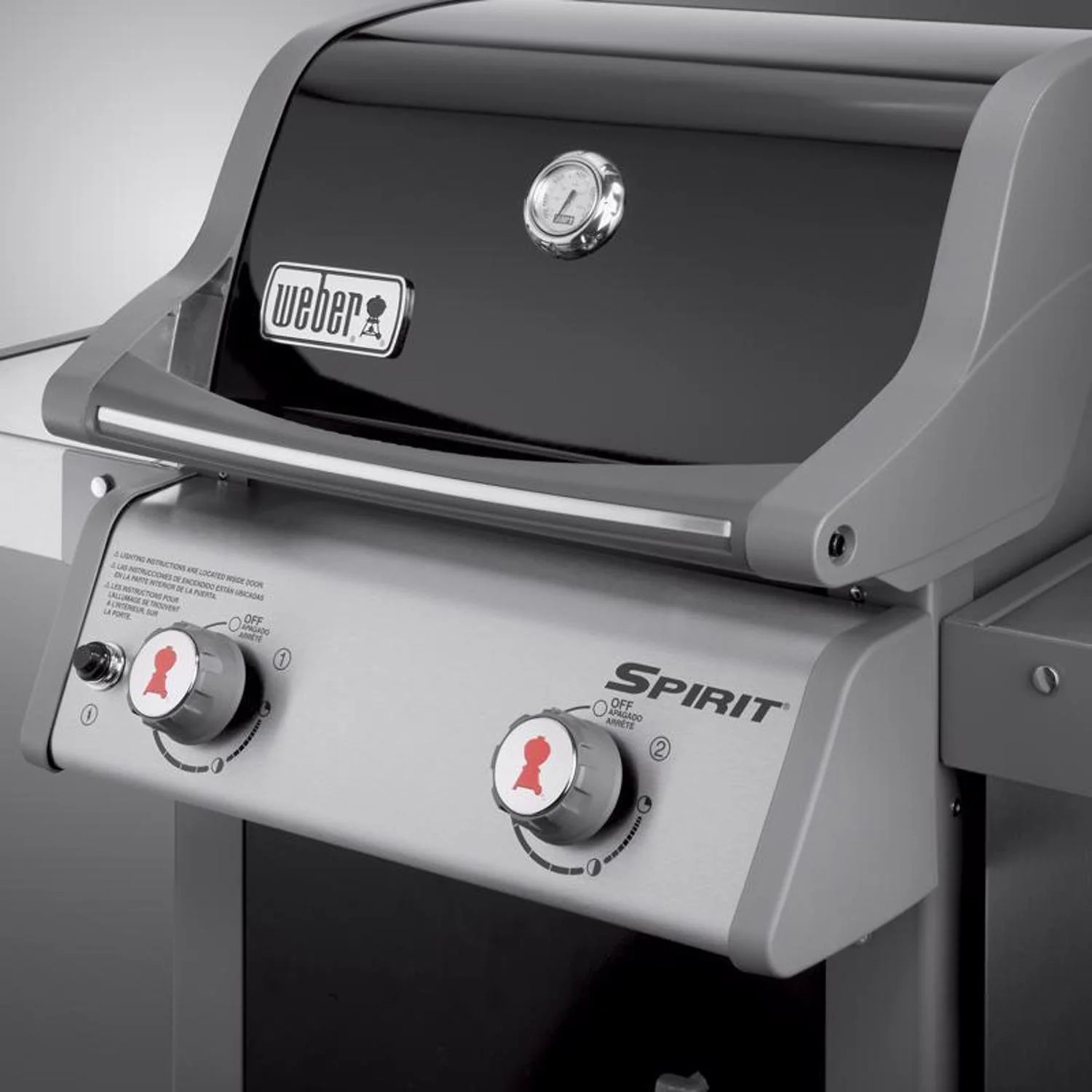 Popular Basic Line Weber Spirit E-210 2 Burner Liquid Propane Grill Black Fine