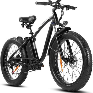 Limited True Basics Outdoor electric bike with 48V/15Ah lithium battery Sensible