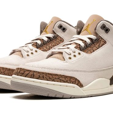 Genuine Simple Goods Air Jordan 3 "Palomino" Distinctive