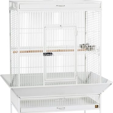 Limited Basic Line Pet Products Wrought Iron Select Bird Cage 3154C, Chalk White, 36-Inch by 24-Inch by 66-Inch Value