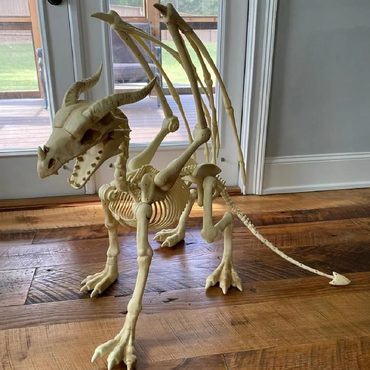 Limited Everyday Co Large 4ft pterosaur skeleton, halloween decoration Improved