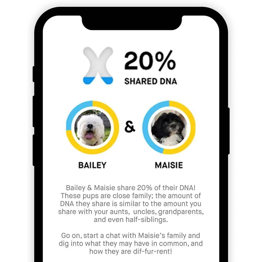Essential Basic Line Embark Dog DNA Test, Breed Identification Kit Functional
