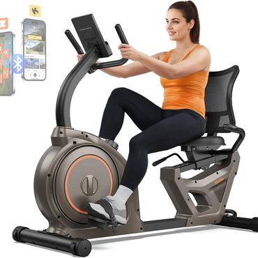 Premium Pure Value Niceday Recumbent Exercise Bike 400lbs App LCD Heart Monitor Universal